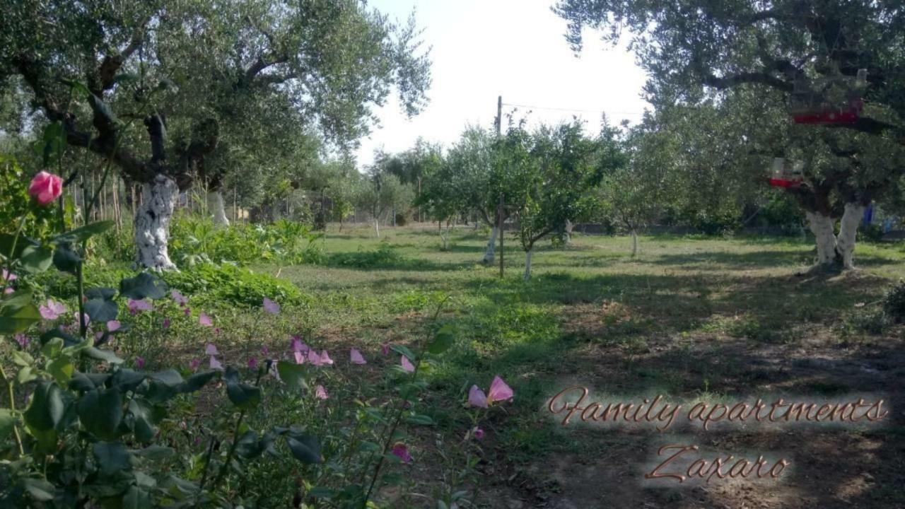 Mina Apartments Zaharo Dış mekan fotoğraf