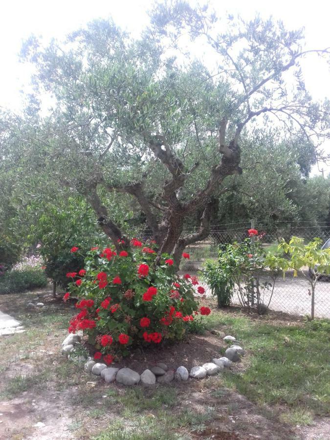 Mina Apartments Zaharo Dış mekan fotoğraf